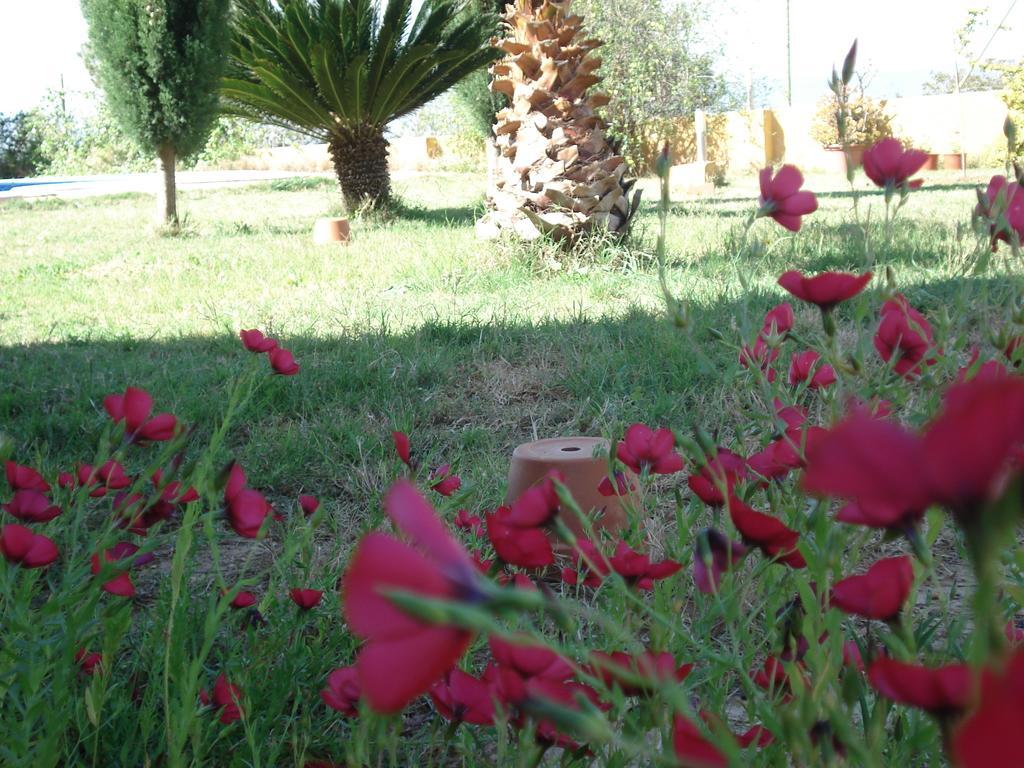 El Raco De La Pintora "Adults Only" Hotel Alberic ภายนอก รูปภาพ