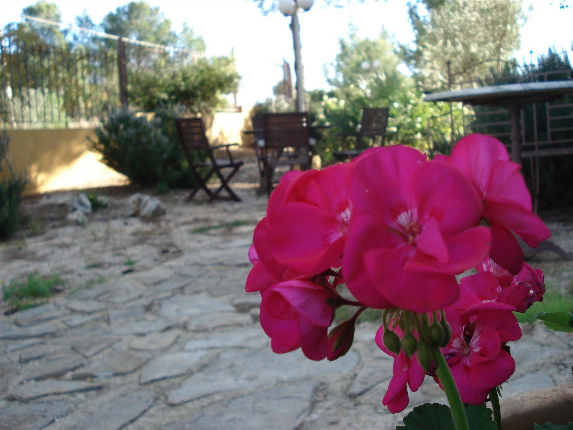 El Raco De La Pintora "Adults Only" Hotel Alberic ภายนอก รูปภาพ
